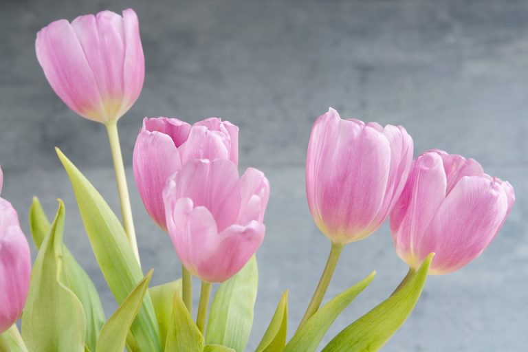 Spring!